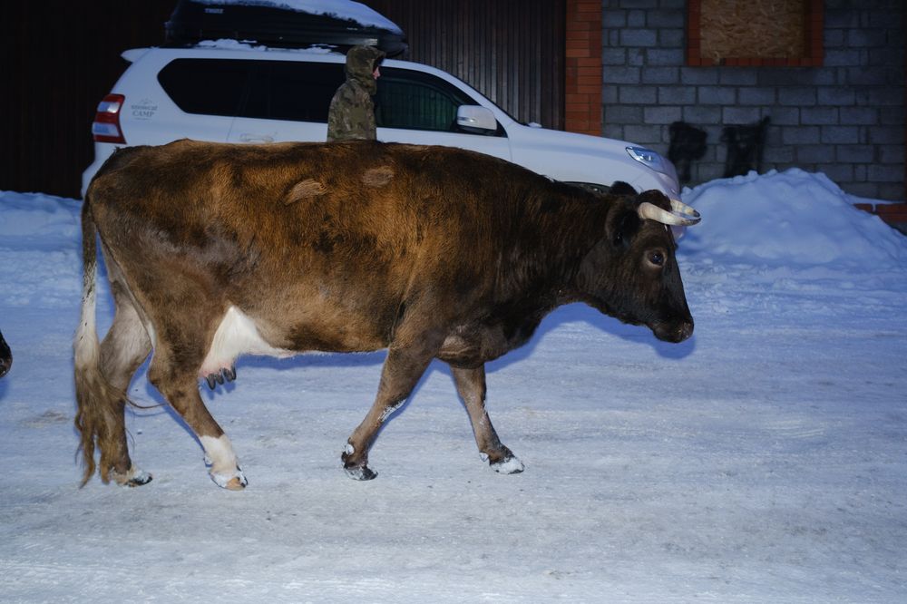 Зимний вечер в Архызе (6)