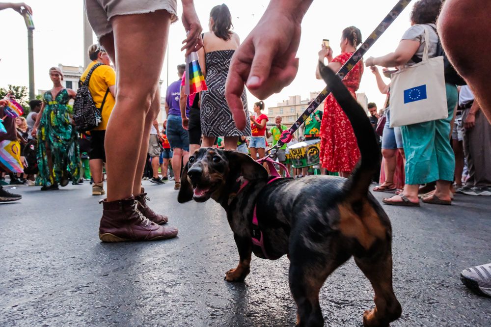 Pride Parade (6)