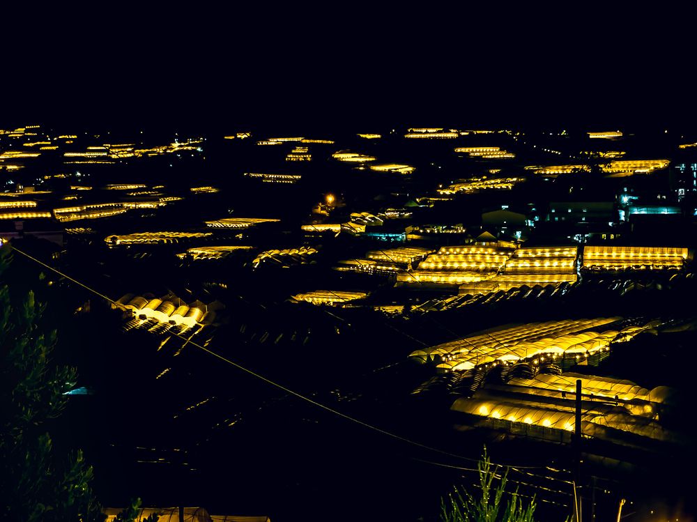 Da Lat Memory: A Journey Through Time and Culture (7)