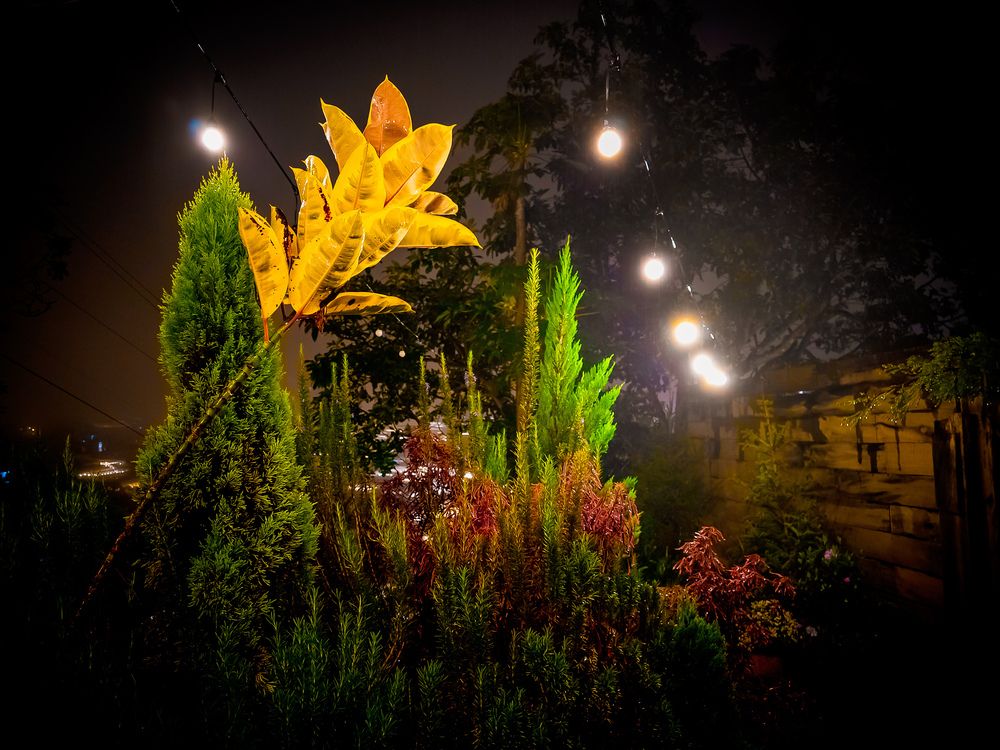 Da Lat Memory: A Journey Through Time and Culture (8)
