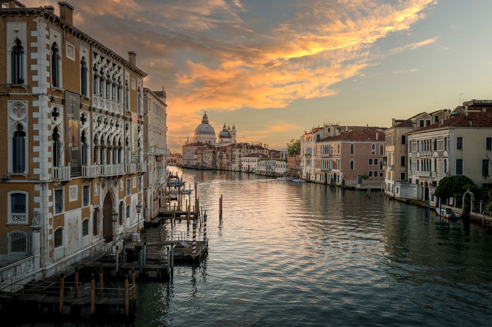 Virtuous Venice (4)