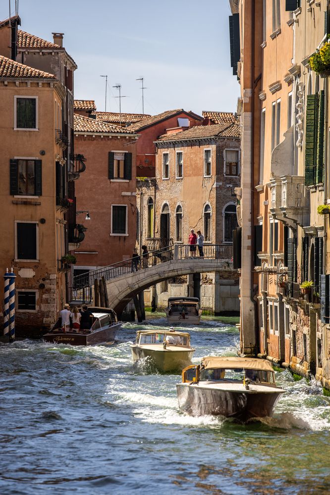 Virtuous Venice (10)