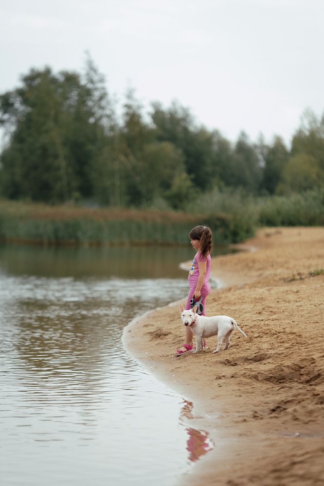 Photo #12079601 (4)