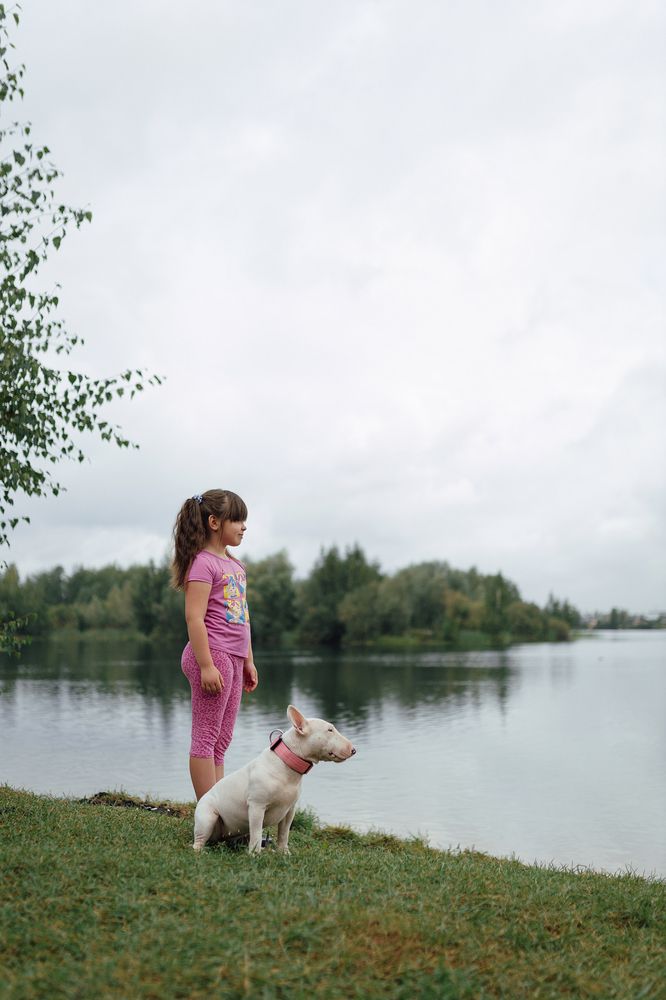 Photo #12079601 (5)