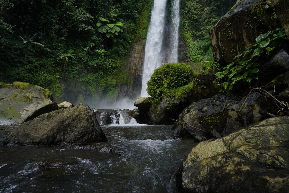 BALI (3)