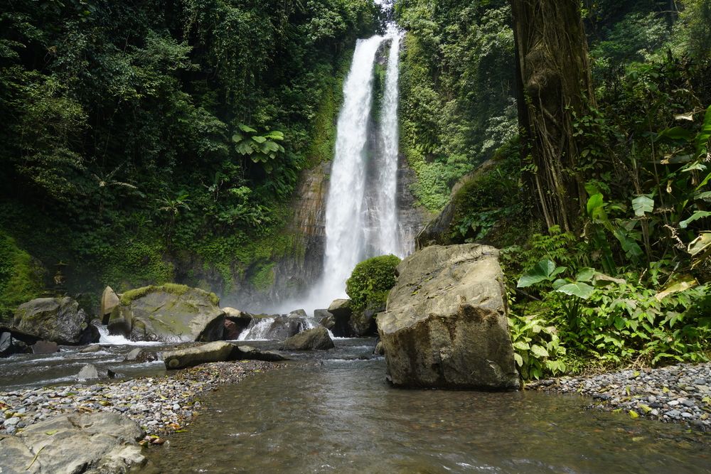 BALI (4)