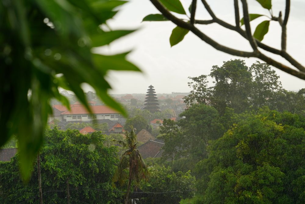 BALI (5)