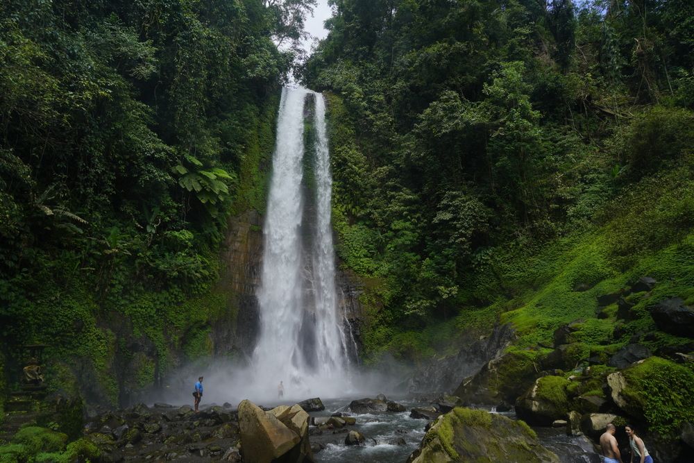 BALI (8)