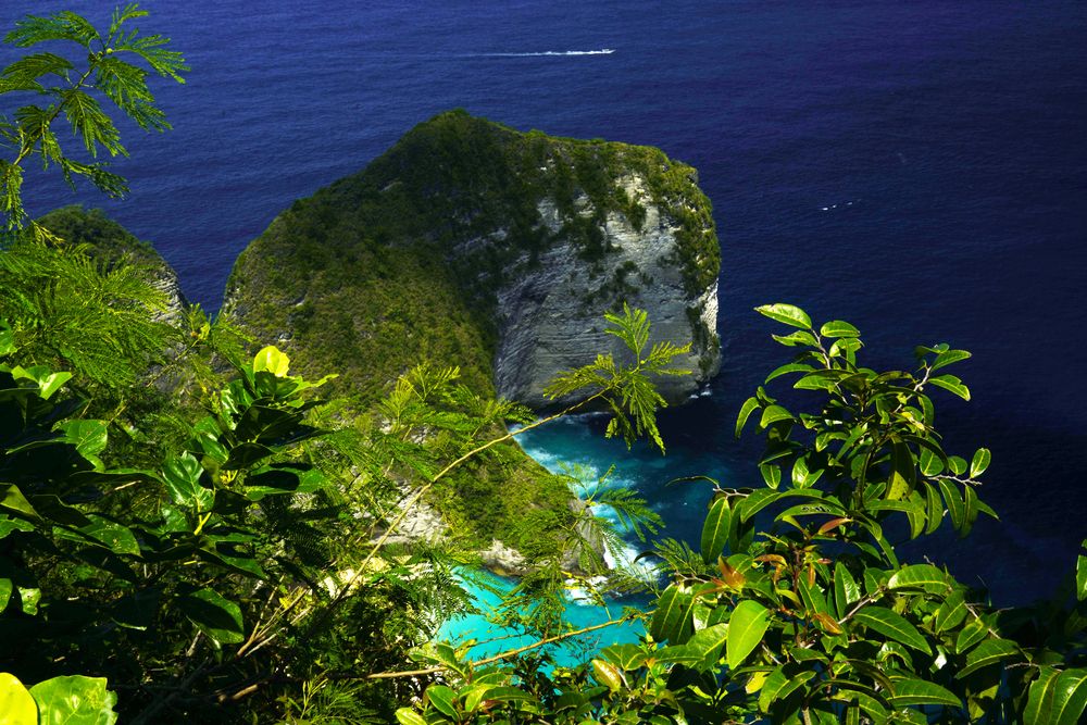 BALI (9)