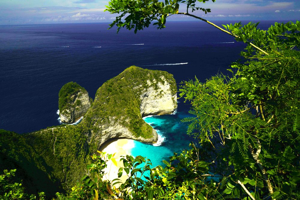 BALI (10)