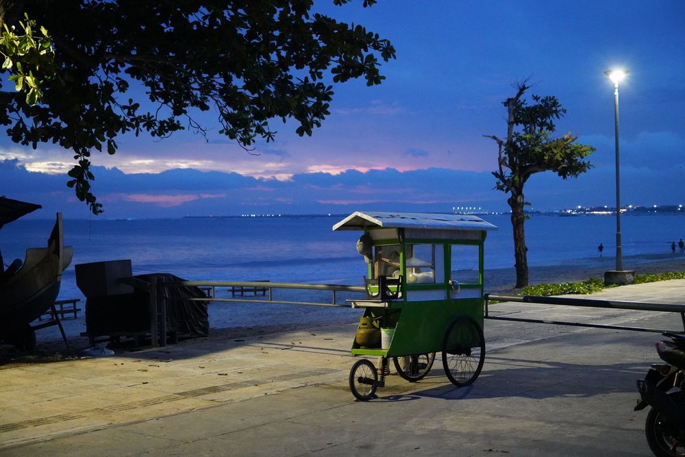 BALI (4)