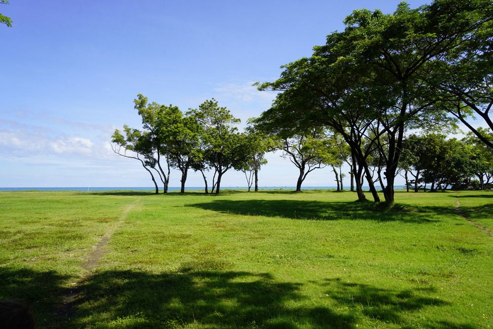 BALI (5)