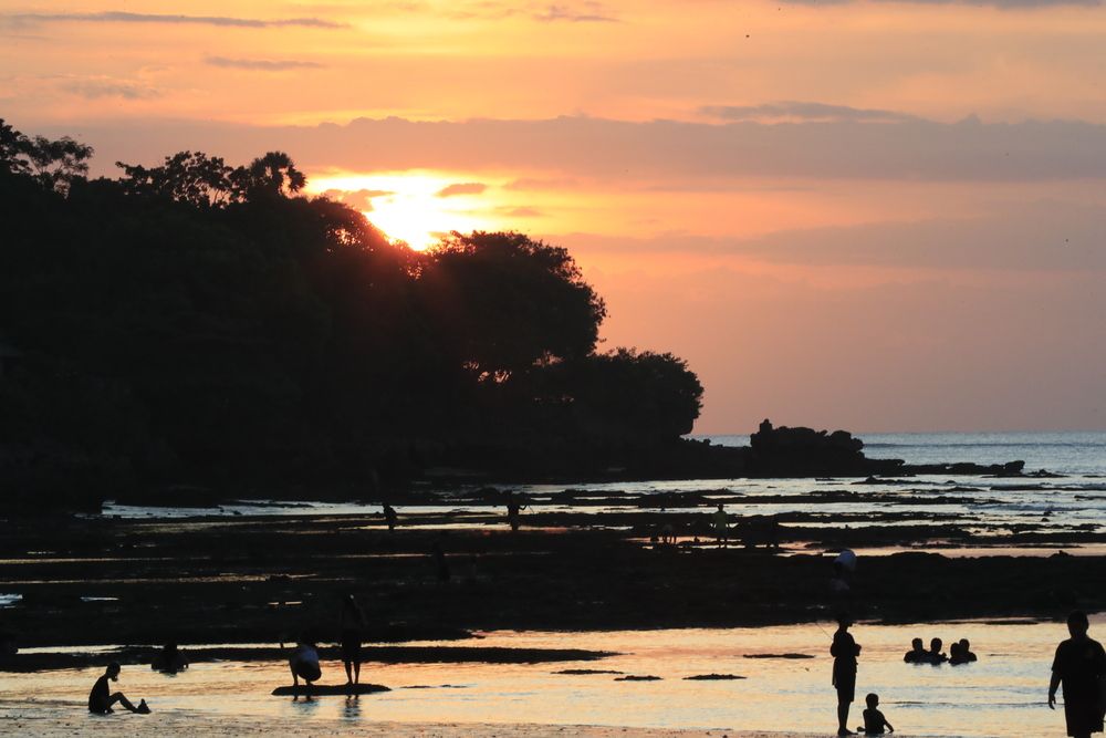 BALI (9)