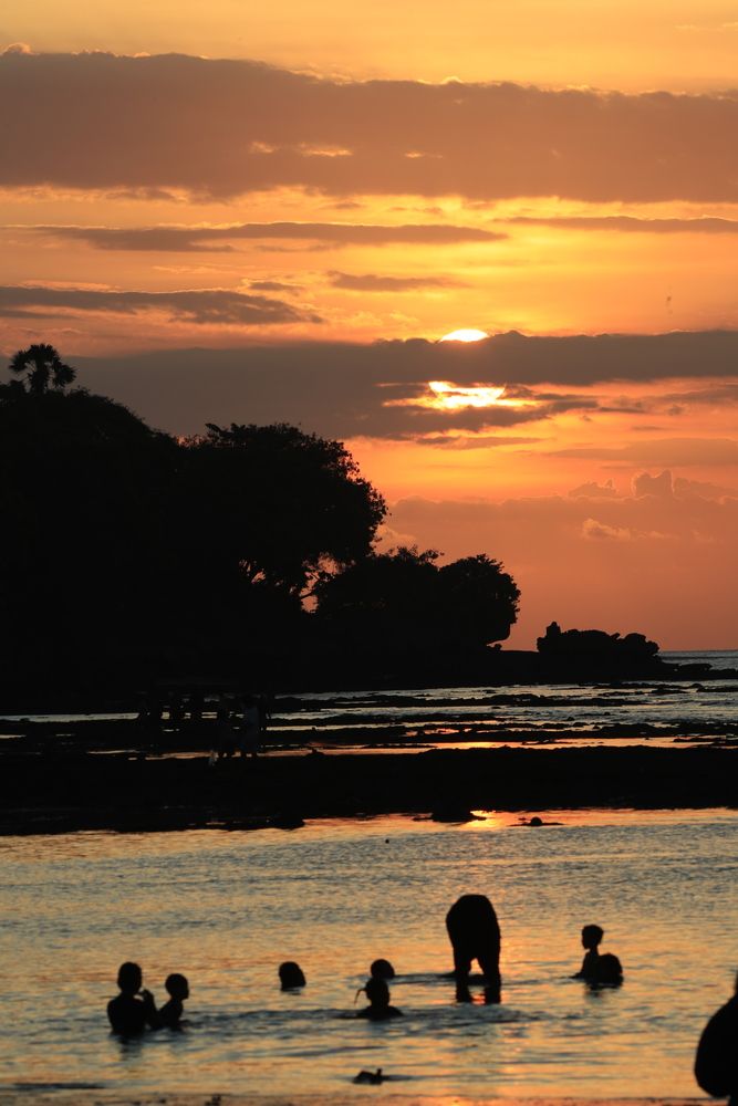 BALI (10)
