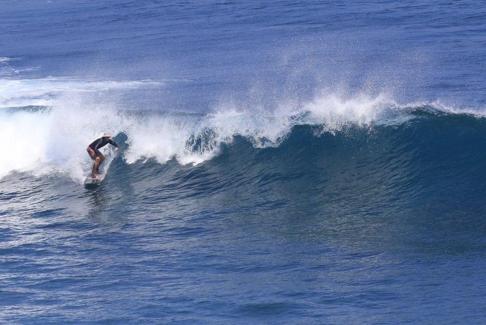 Photo #12208635 (3)