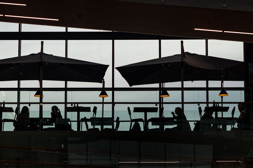 Windows of Life (9)