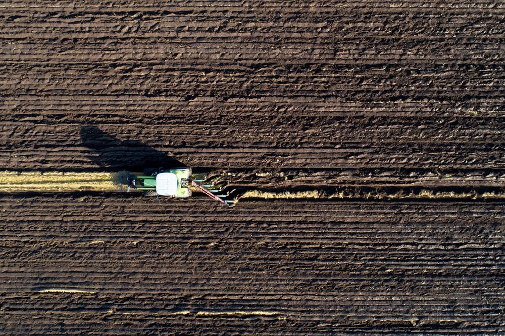 Straight from Above (3)