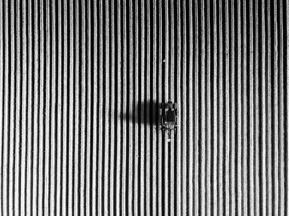 Straight from Above (4)