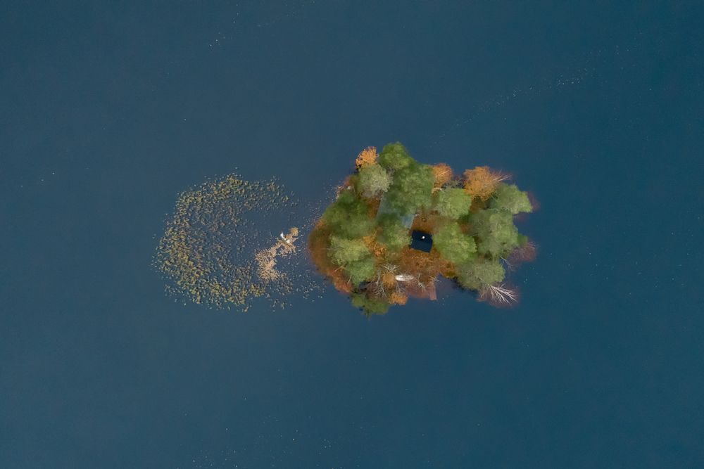 Straight from Above (7)