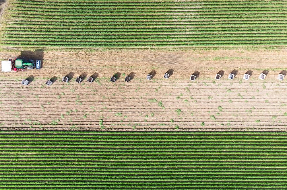 Straight from Above (11)
