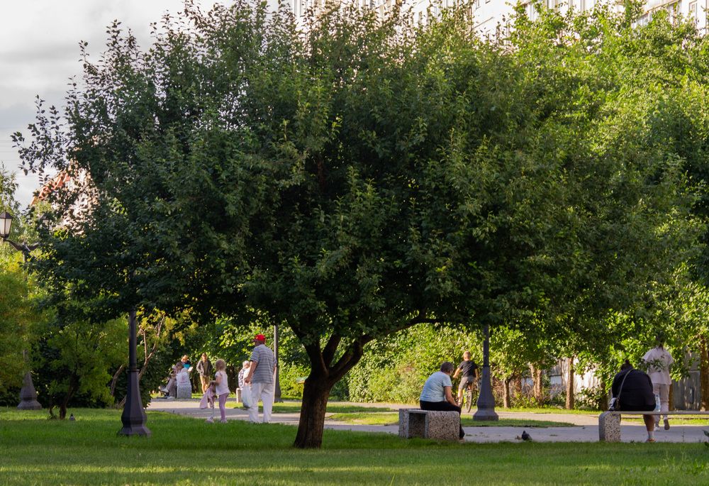 Тень (4)