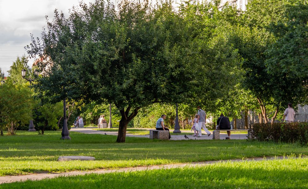 Тень (5)
