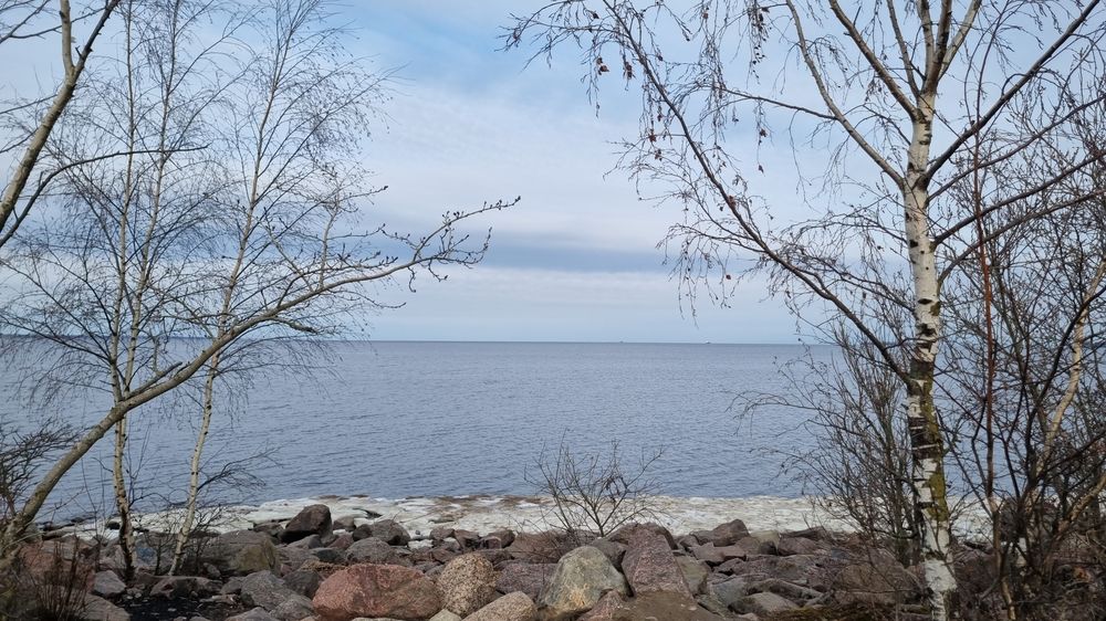 Последний лёд (10)