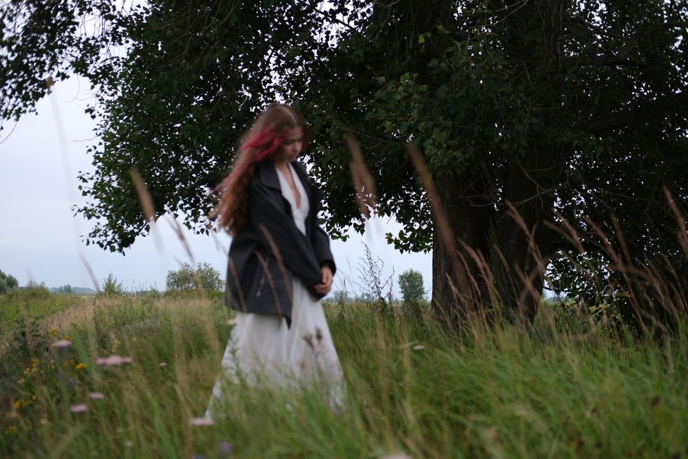 Photo #12651038 (3)