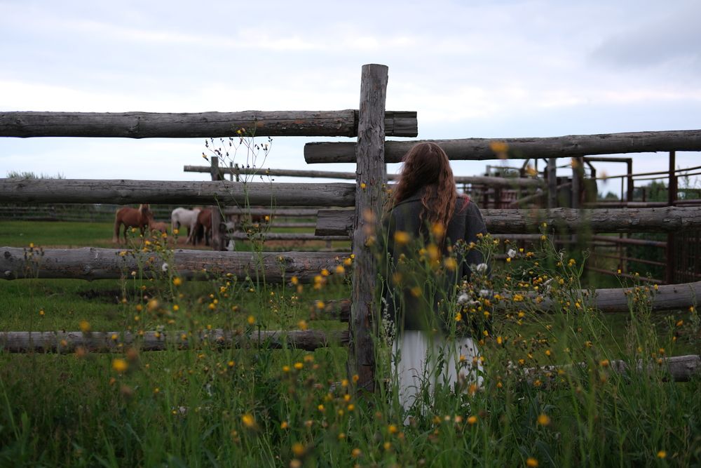 Photo #12651038 (7)
