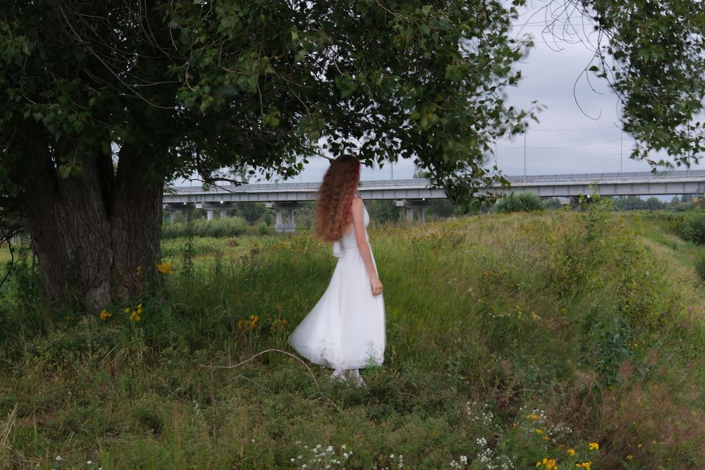 Photo #12651038 (8)