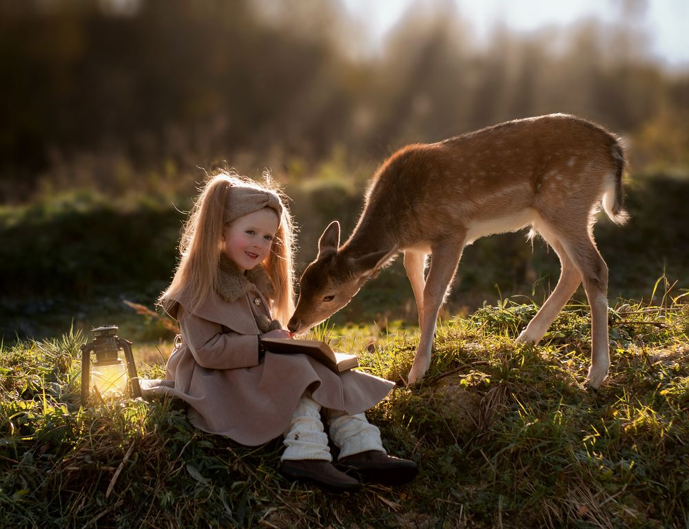Photo #12706786 (6)