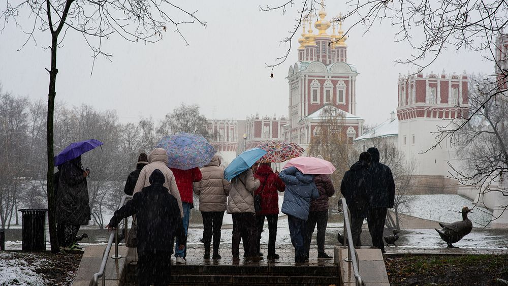 Мокрый снег (2)