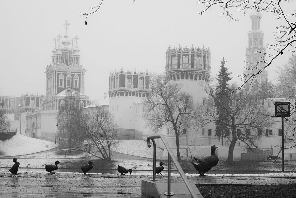 Мокрый снег (10)