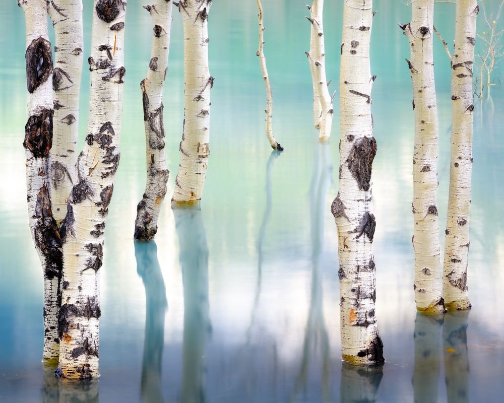 Autumn Falling Into the Lake (2)