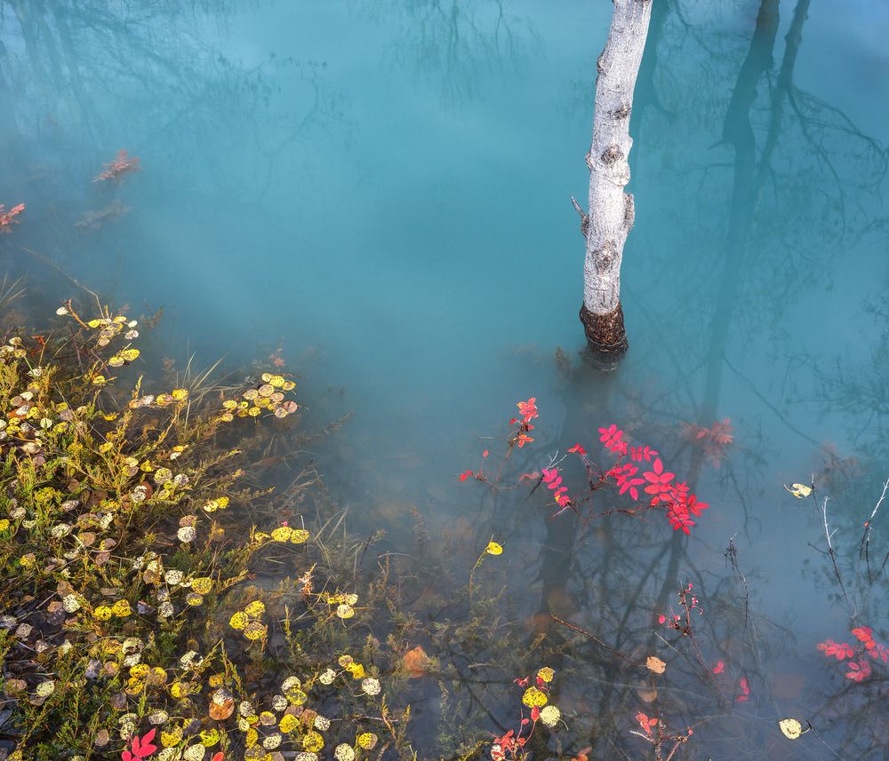 Autumn Falling Into the Lake (4)