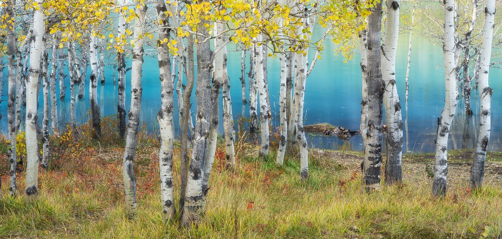 Autumn Falling Into the Lake (5)
