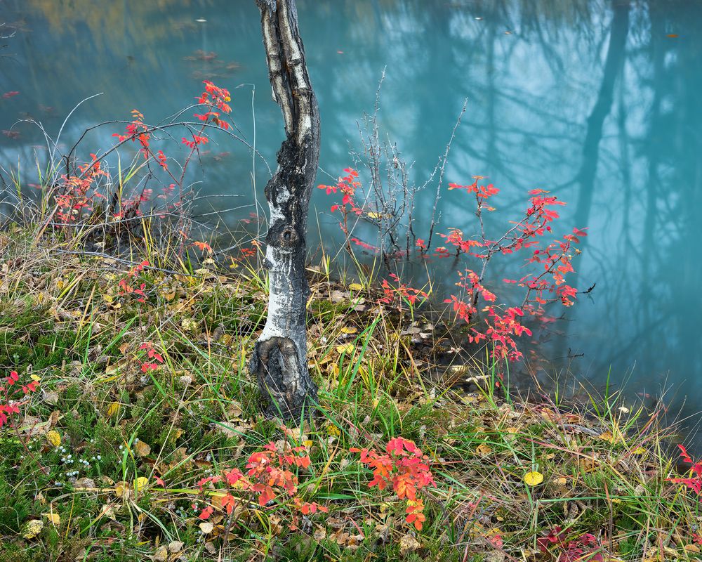 Autumn Falling Into the Lake (6)