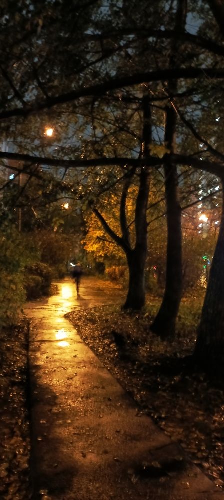 Дождливый осенний вечер (3)