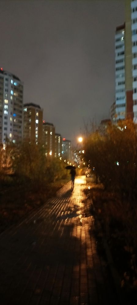 Дождливый осенний вечер (4)