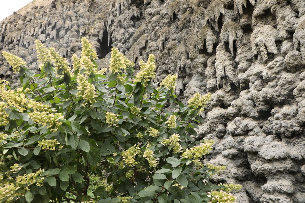 https://www.tripadvisor.ru/LocationPhotoDirectLink-g274707-d313664-i322238933-Wallenstein_Palace_Gardens-Prague_Bohemia.html (4)