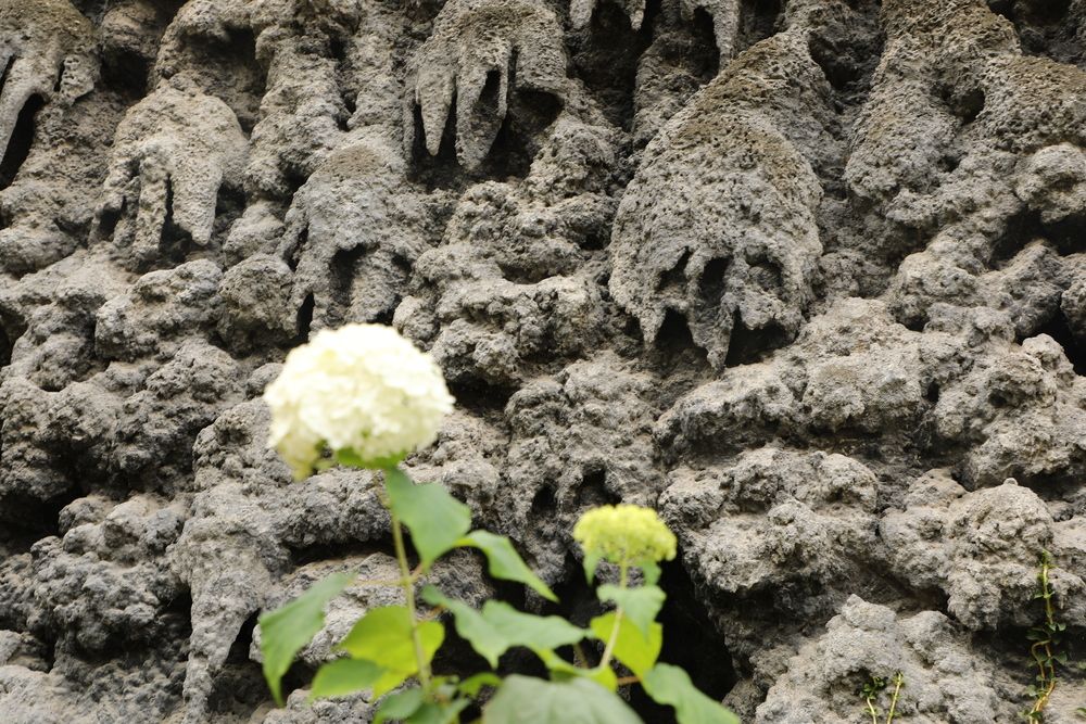 https://www.tripadvisor.ru/LocationPhotoDirectLink-g274707-d313664-i322238933-Wallenstein_Palace_Gardens-Prague_Bohemia.html (6)