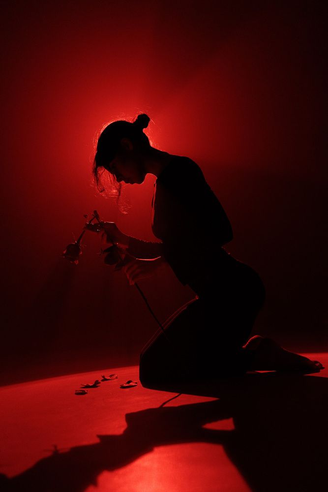 Photo #12959667 (7)
