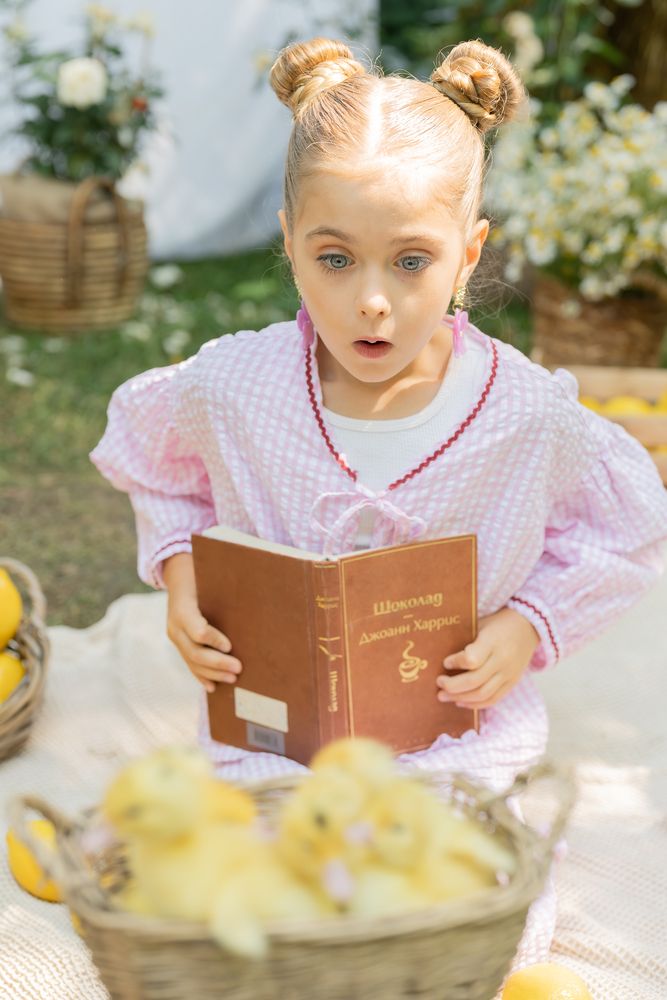 Утиные истории (2)