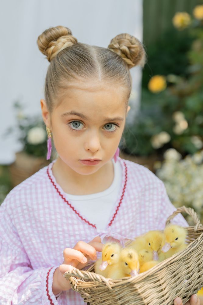 Утиные истории (4)