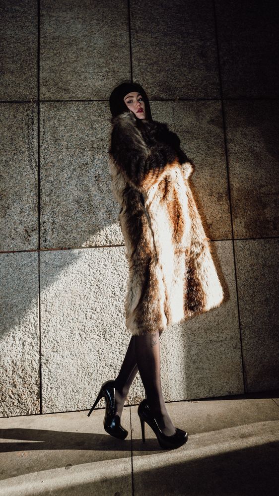 Photo #12968742 (7)