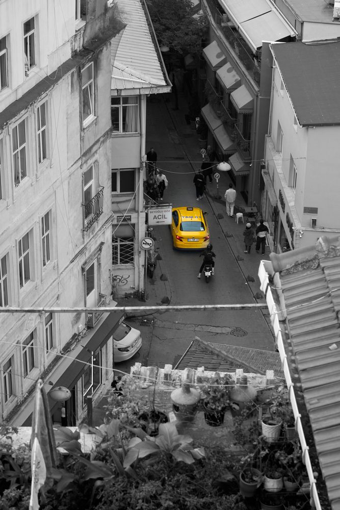 Everyday Life (11)