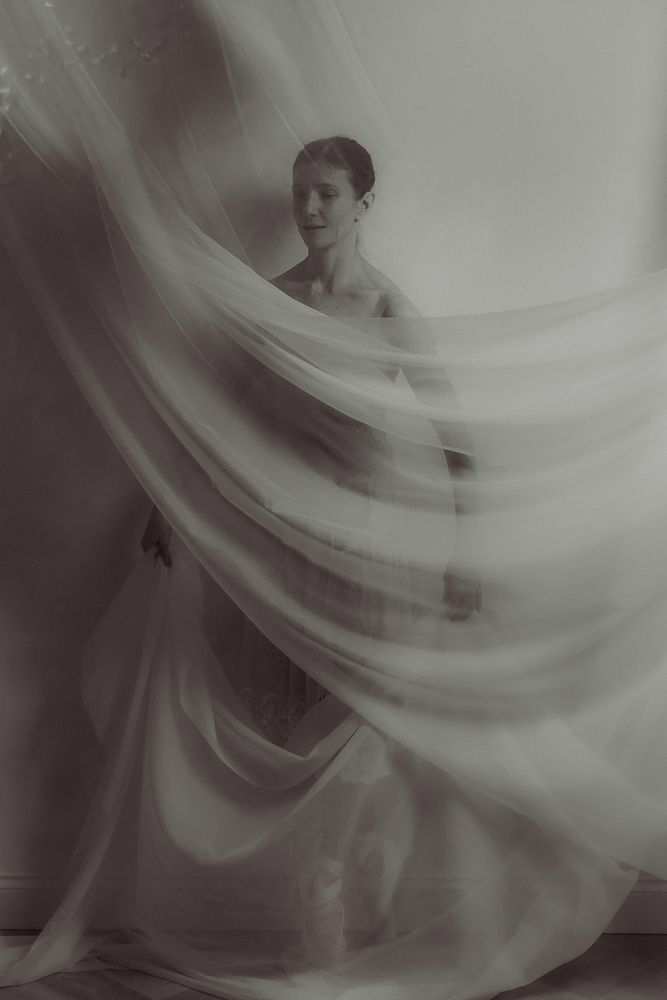 Wings of Silence (4)