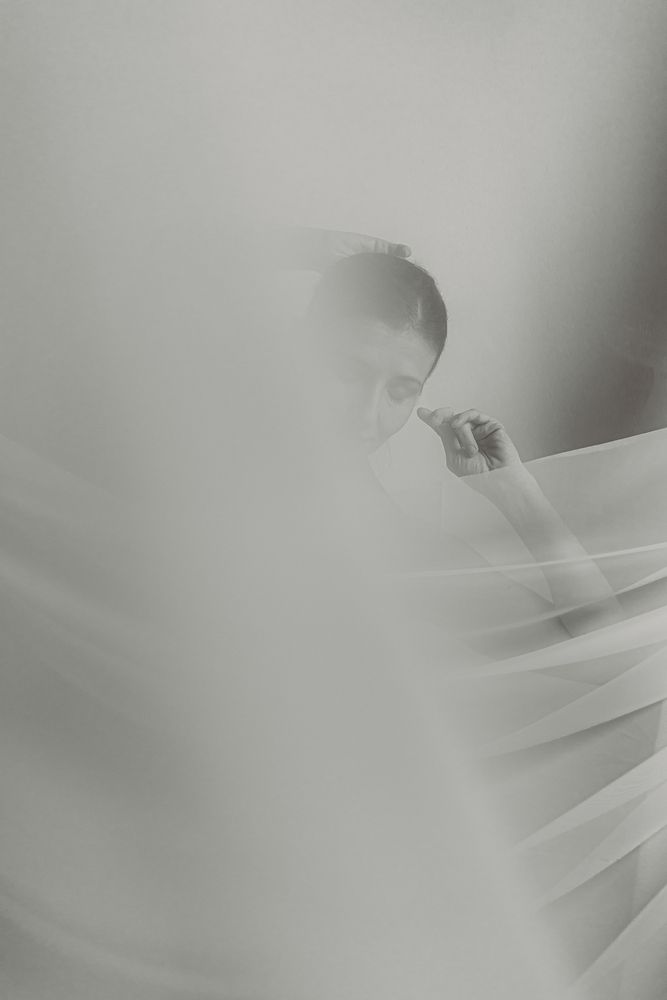 Wings of Silence (6)