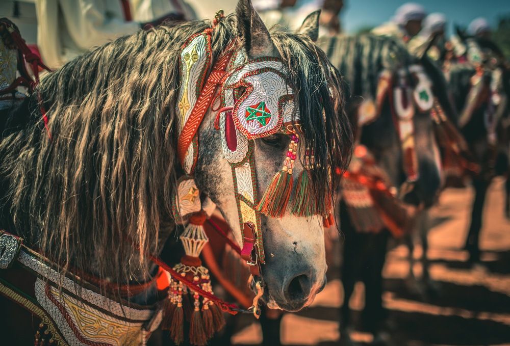 Tborida, Horses in the clouds (7)