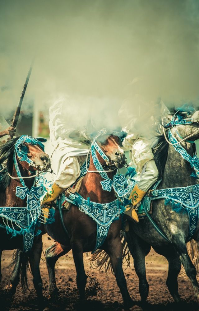 Tborida, Horses in the clouds (9)